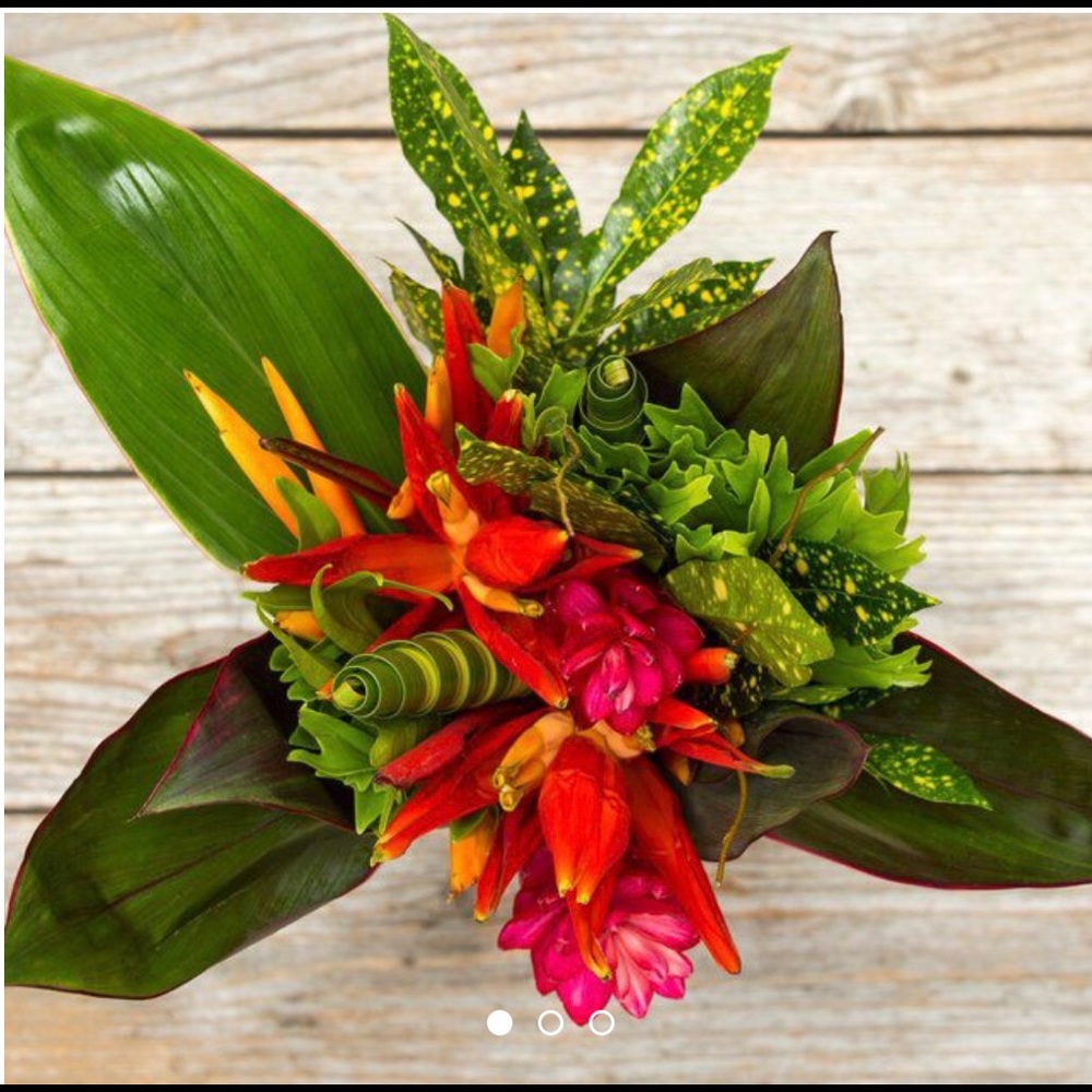 Meet your Posher, Ruthi